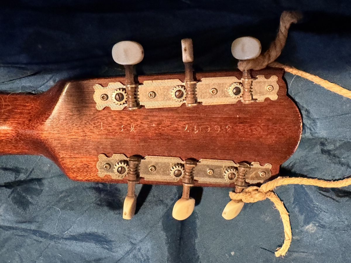 Framus Strumenti musicali: 6 Saiten Banjo von Framus – Usato da Neuenegg venduto da Marengo06 3