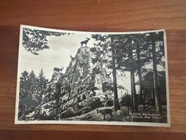 AK   1936 Wildpark Peter und Paul St. Gallen  (G3078)