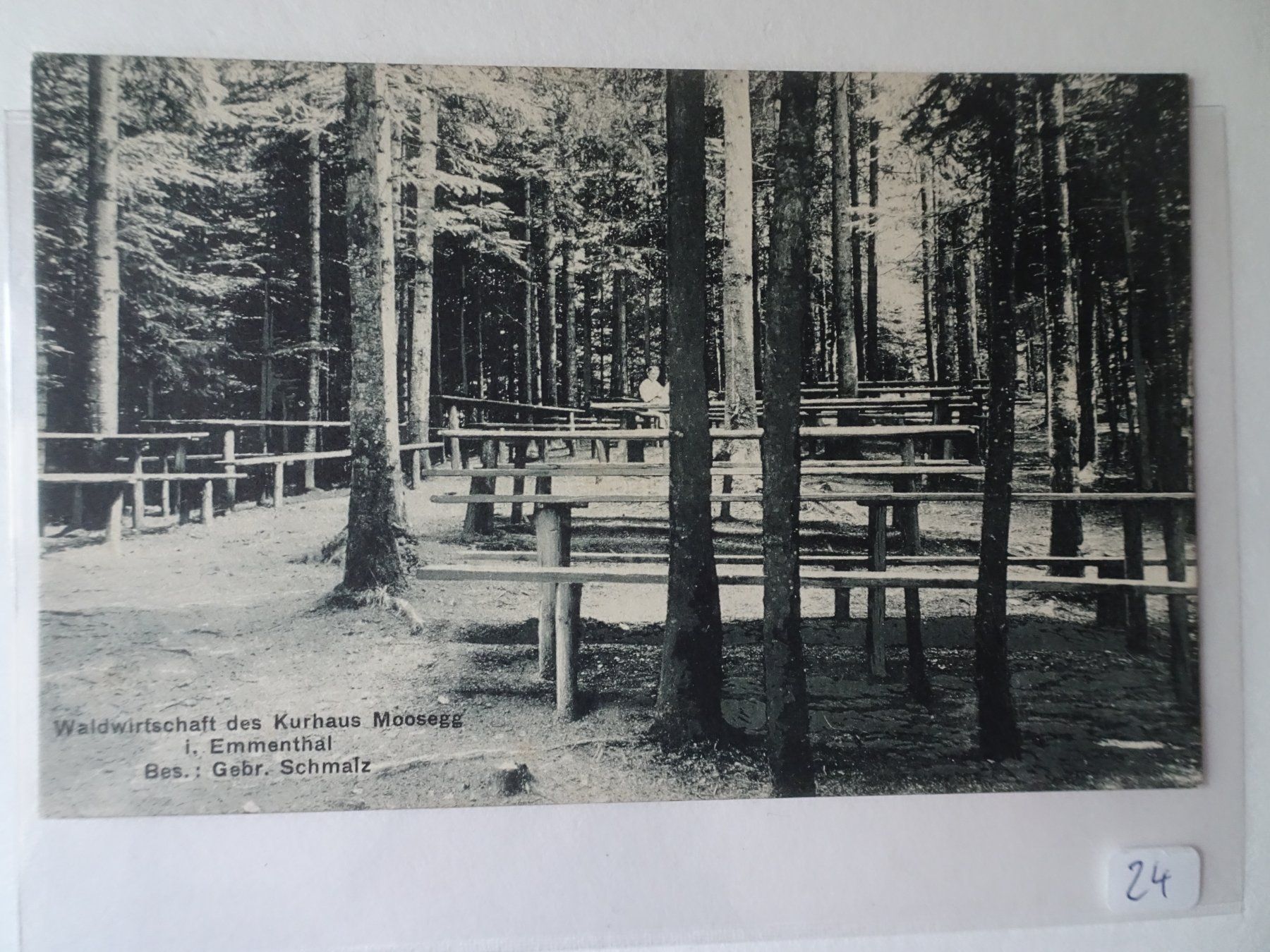 Cartoline postali: AK Waldwirtschaft Moosegg Emmenmatt Emmenthal – Usato da Schönenwerd venduto da schnitzunddrunter