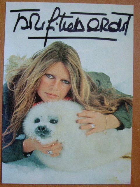 Autografi: BRIGITTE BARDOT AUTOGRAMMKARTE – Usato da Schachen b. Reute venduto da Dzestar
