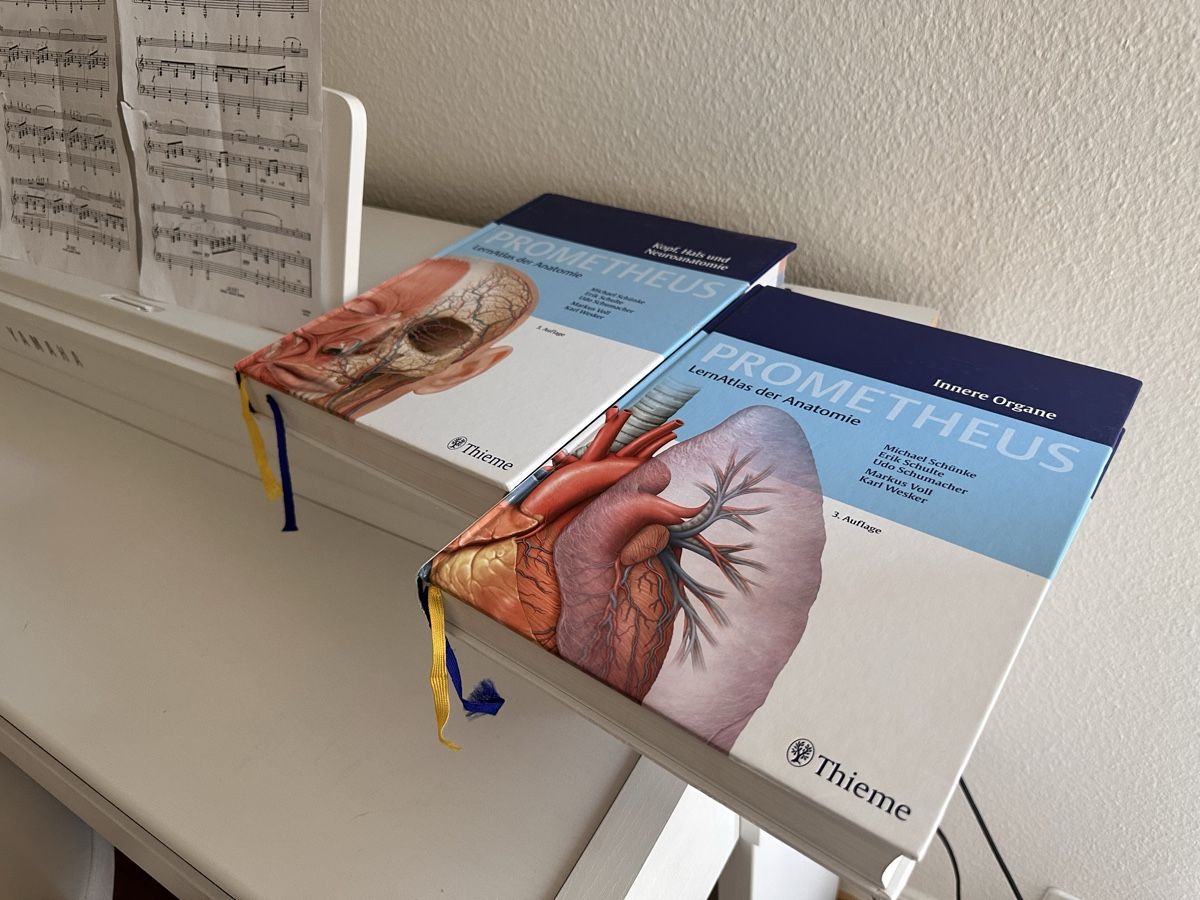 Libri: PROMETHEUS LernAtlas der Anatomie – Usato da Basel venduto da sve_2kxk