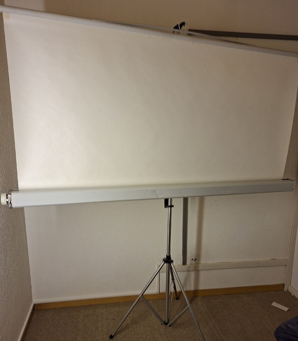 Schermi: Projektionsleinwand Stativleinwand manuell rollbar – Usato da Pfäffikon ZH venduto da enderby01