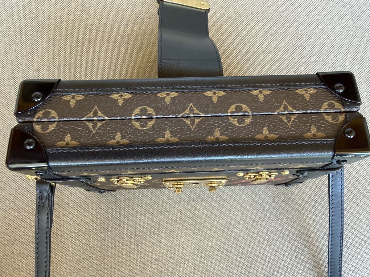 Louis Vuitton Borse da donna: Louis Vuitton Petite Malle – Usato da Fully venduto da Fashion_Mania 4