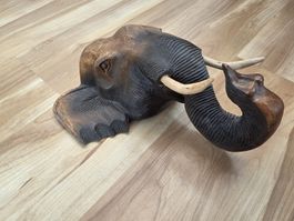 Elefant Kopf
