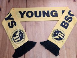 BSC Young Boys Bern Schal YB Fussball Schweiz