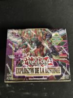 Boite de boosters de Explosion de la Destinée fr