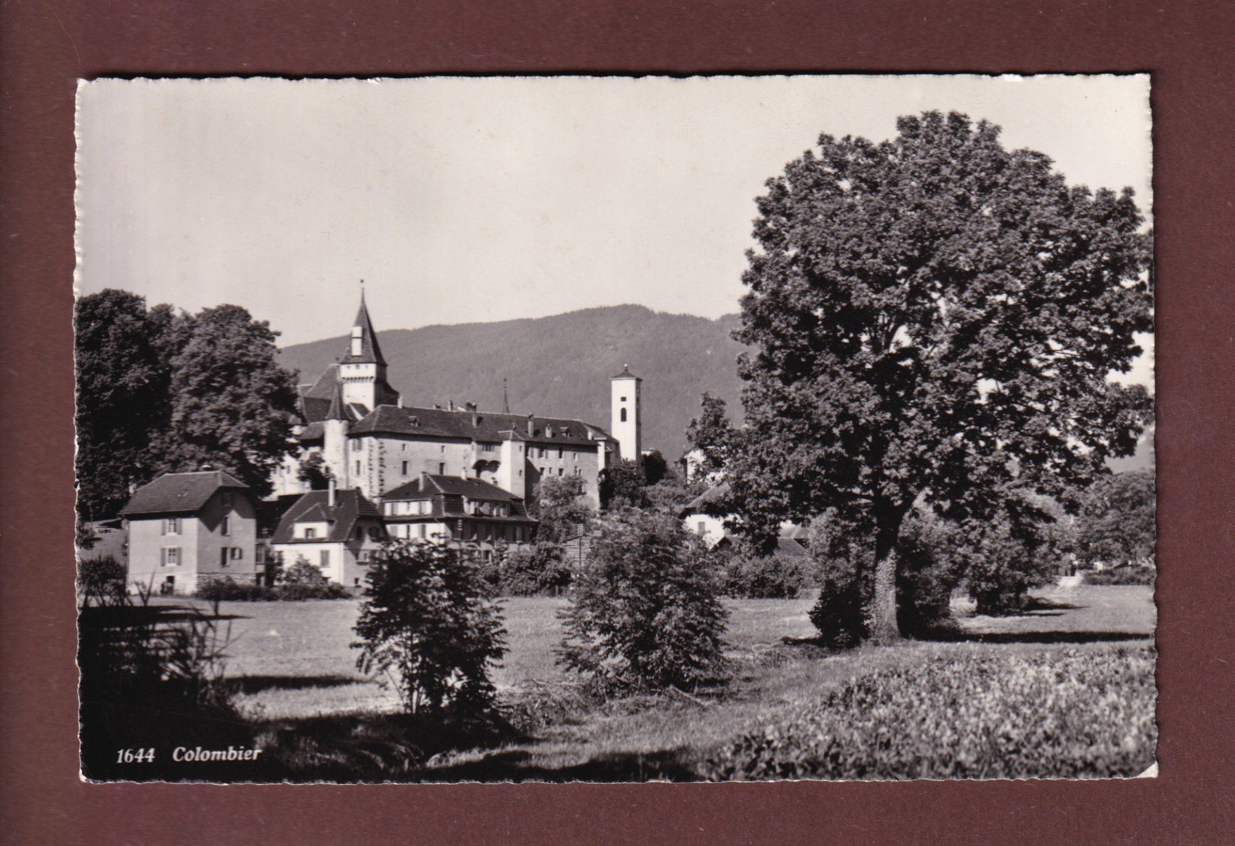 Ansichtskarten: COLOMBIER - Vue partielle - Feldpost – Gebraucht aus Pully von nicecards-shop
