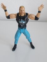 WWE WCW Action Figure WCW DDP Diamond Dallas Page