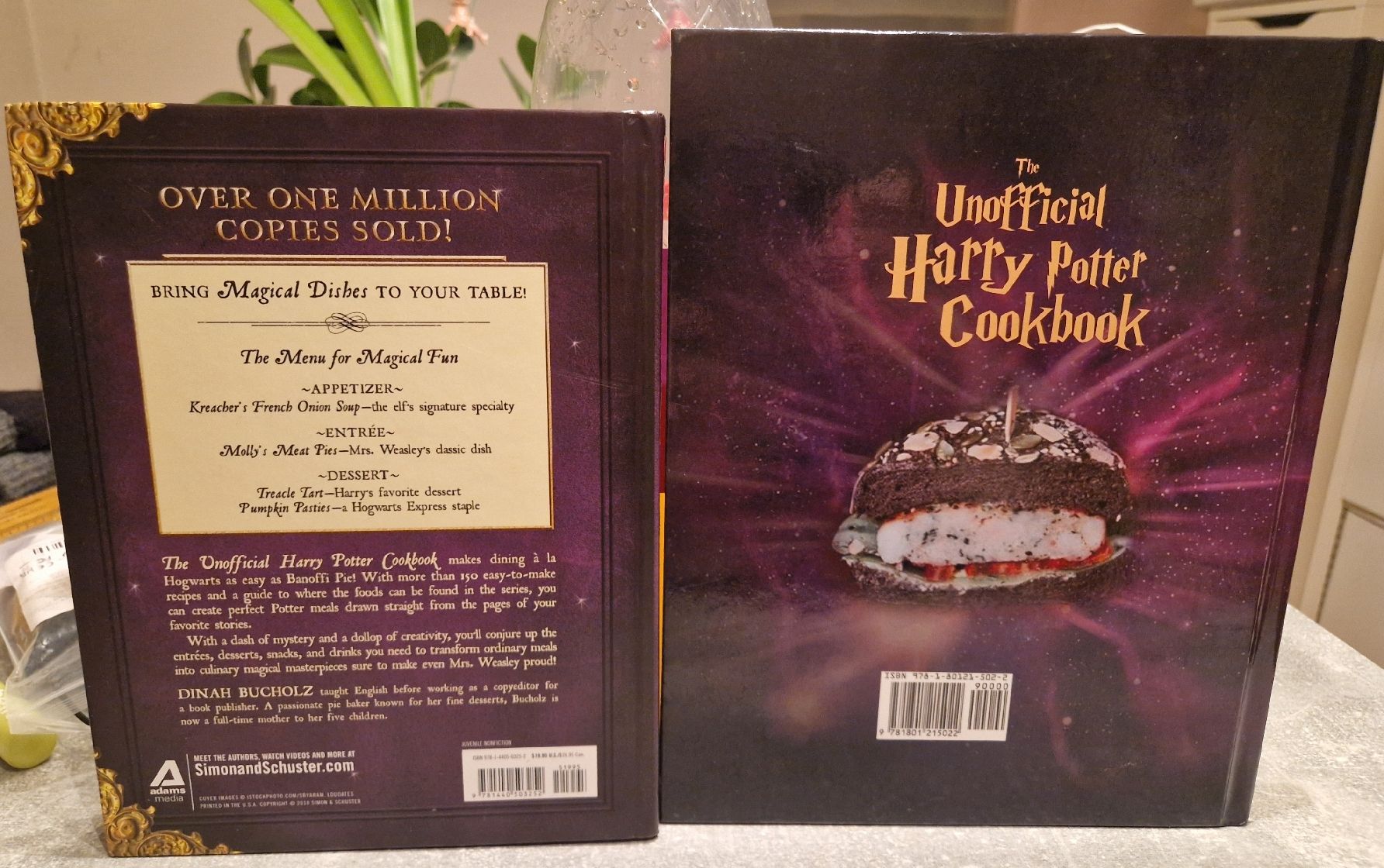 Libri: 2 Harry Potter Kochbücher auf Englisch – Usato da Möhlin venduto da Lyhme94 1