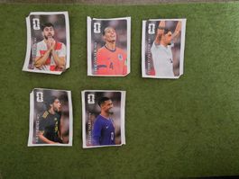 Letzte Chance Für Coca Cola Panini WM 2026
