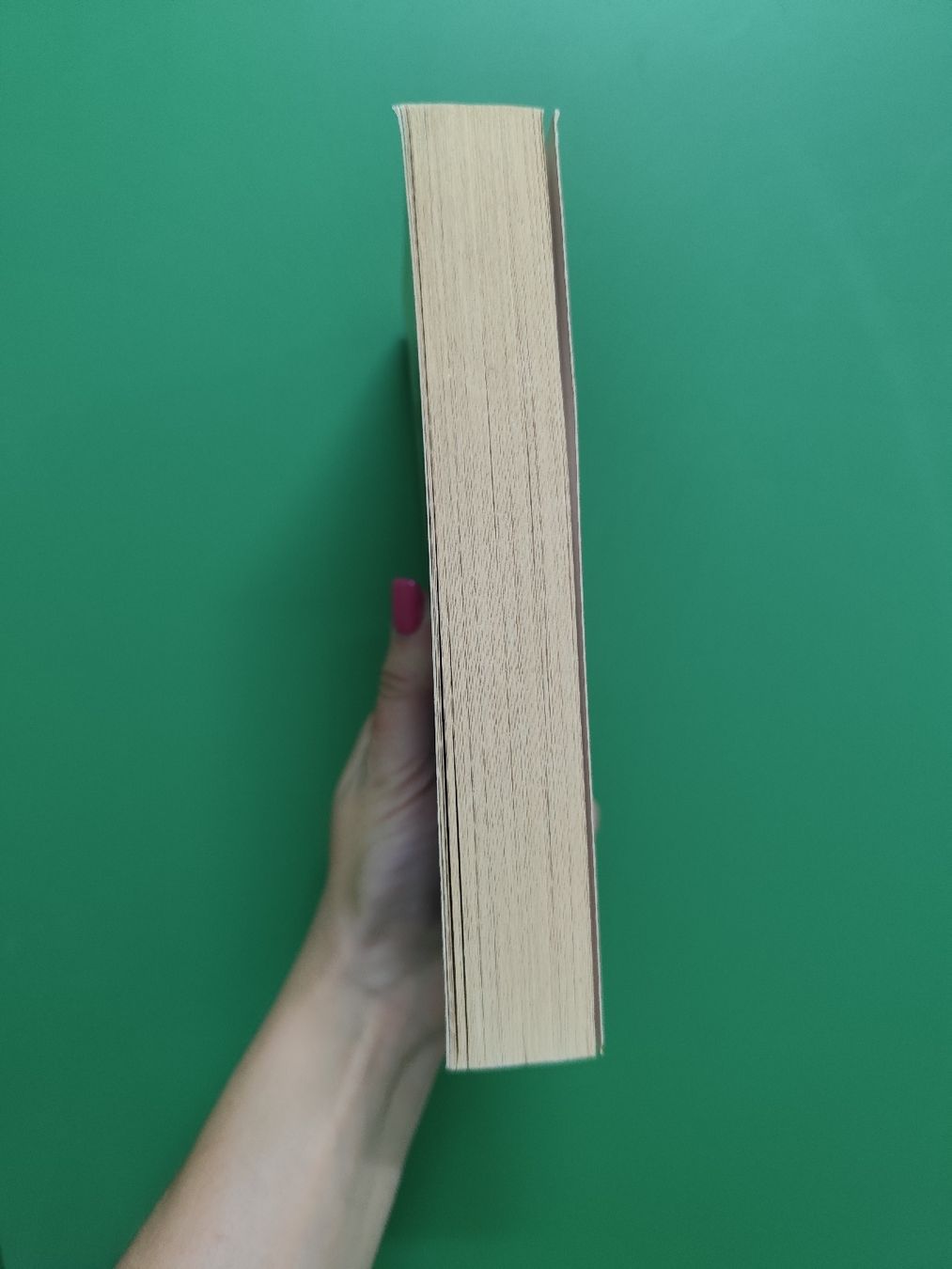 Libri: Wüstenblume Waris Dirie book German – Usato da Mägenwil venduto da VintageGirly 1
