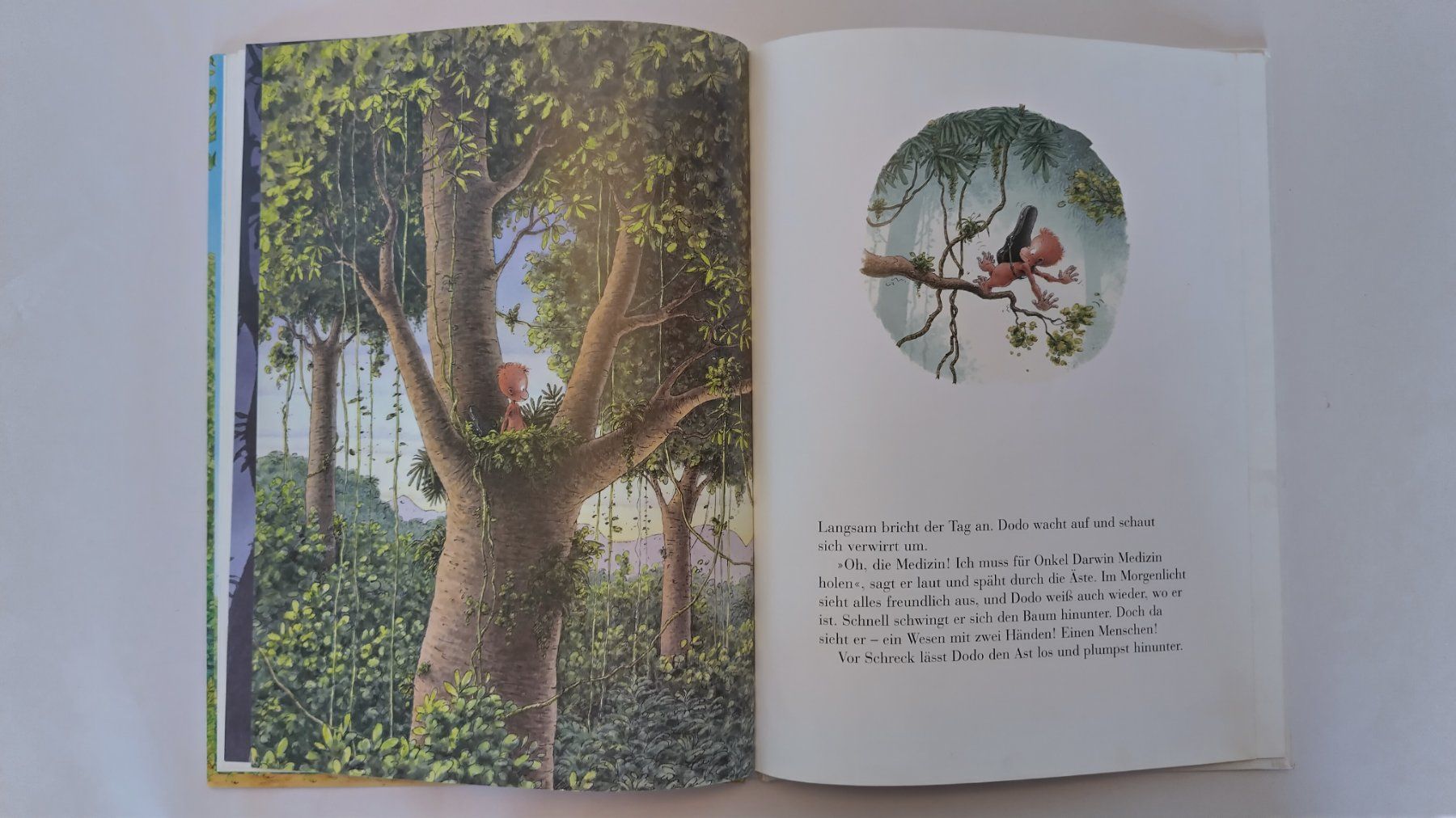 Libri: Kleiner Dodo lass den Drachen fliegen / Bilderbuch Affe – Usato da Bellach venduto da JingleJerry 4