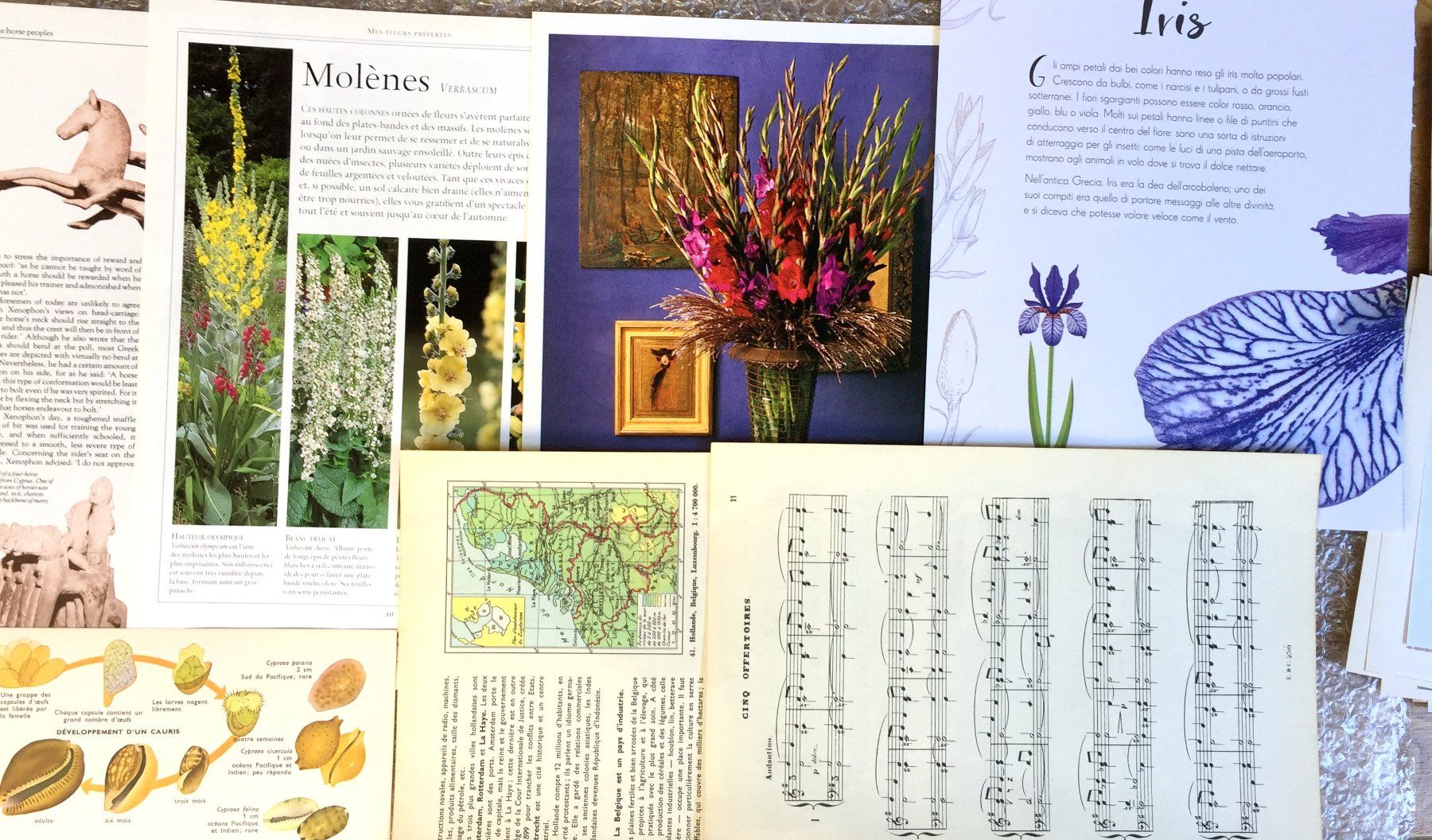 Libri: ephemera 10/papier collage bastelpapier scrapbooking+Versand – Usato da Pully venduto da websurfer1 3