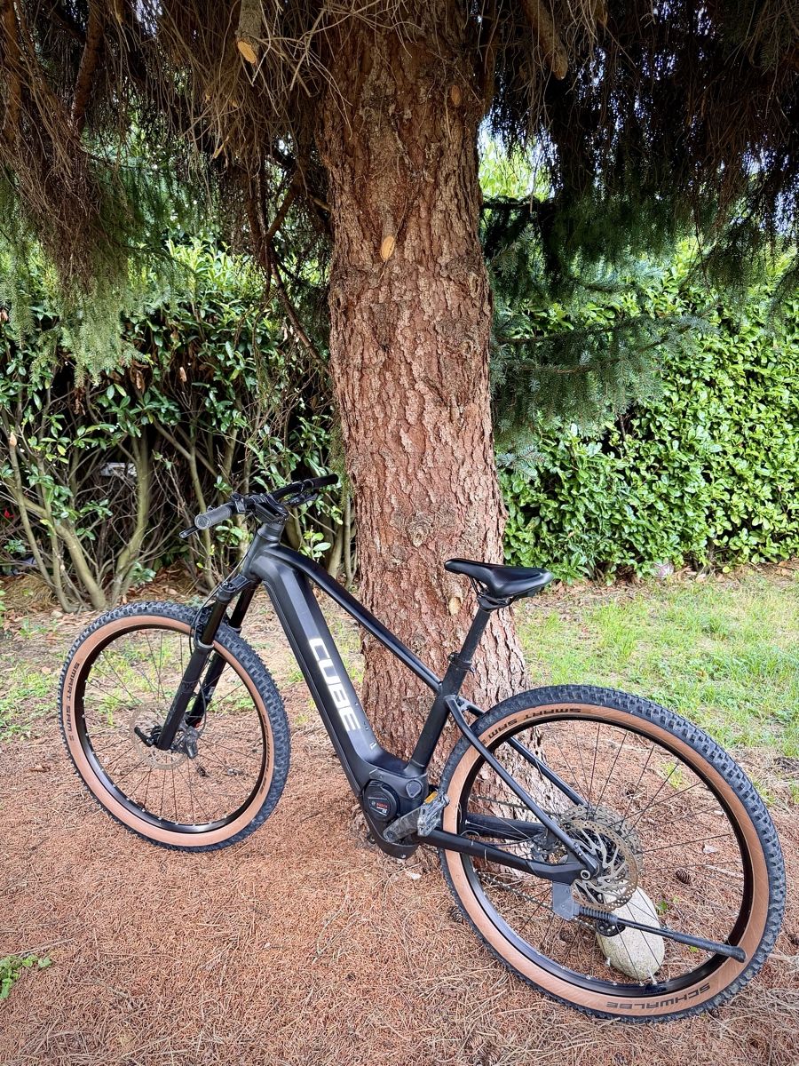 Cube Biciclette: CUBE Reaction SL  Bosch Performance Line CX, 750 Wh – Usato da Bern venduto da ser_7vtn 3