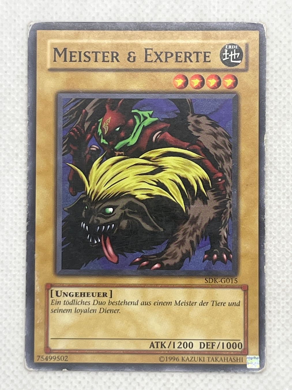 Yugioh Carte collezionabili: Yu-Gi-Oh Meister & Experte SDK-G015 – Usato da Hinterkappelen venduto da Kim1992