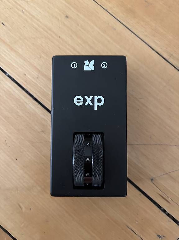 Chase Bliss Strumenti musicali: Chase Bliss Exp – Usato da Zürich venduto da tsa_tsa