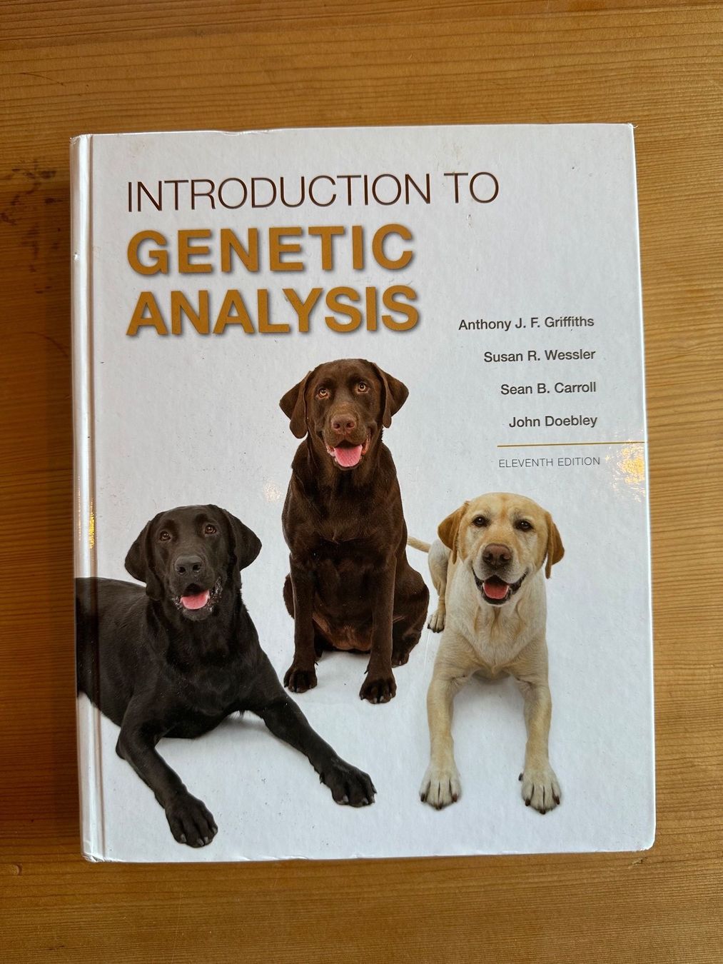 Libri: Introduction to Genetic Analysis - Griffiths, ungebraucht – Usato da Sagogn venduto da lialux