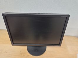 NEC Monitor 24zoll