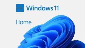 Microsoft Software: Windows 11 Home | 1 Gerät | Multilingual l – Usato da Langenthal venduto da Peaceful