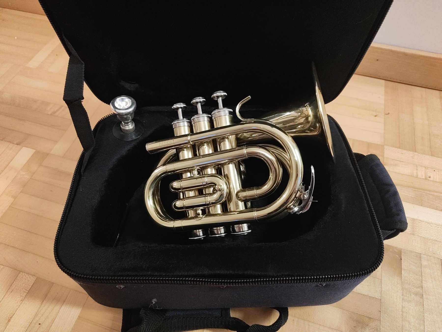 Strumenti musicali: Taschentromoete – Usato da Vitznau venduto da Gishaya