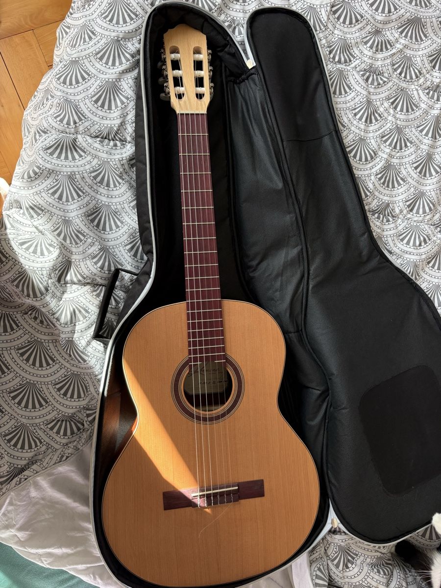 Strumenti musicali: Guitare classique : Kremona S65C Green Globe – Nuovo (secondo la descrizione) da Glovelier venduto da mae_tb2t 1