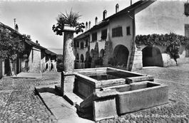Erlach BE Bielersee Altstadt Brunnen historische Häuser