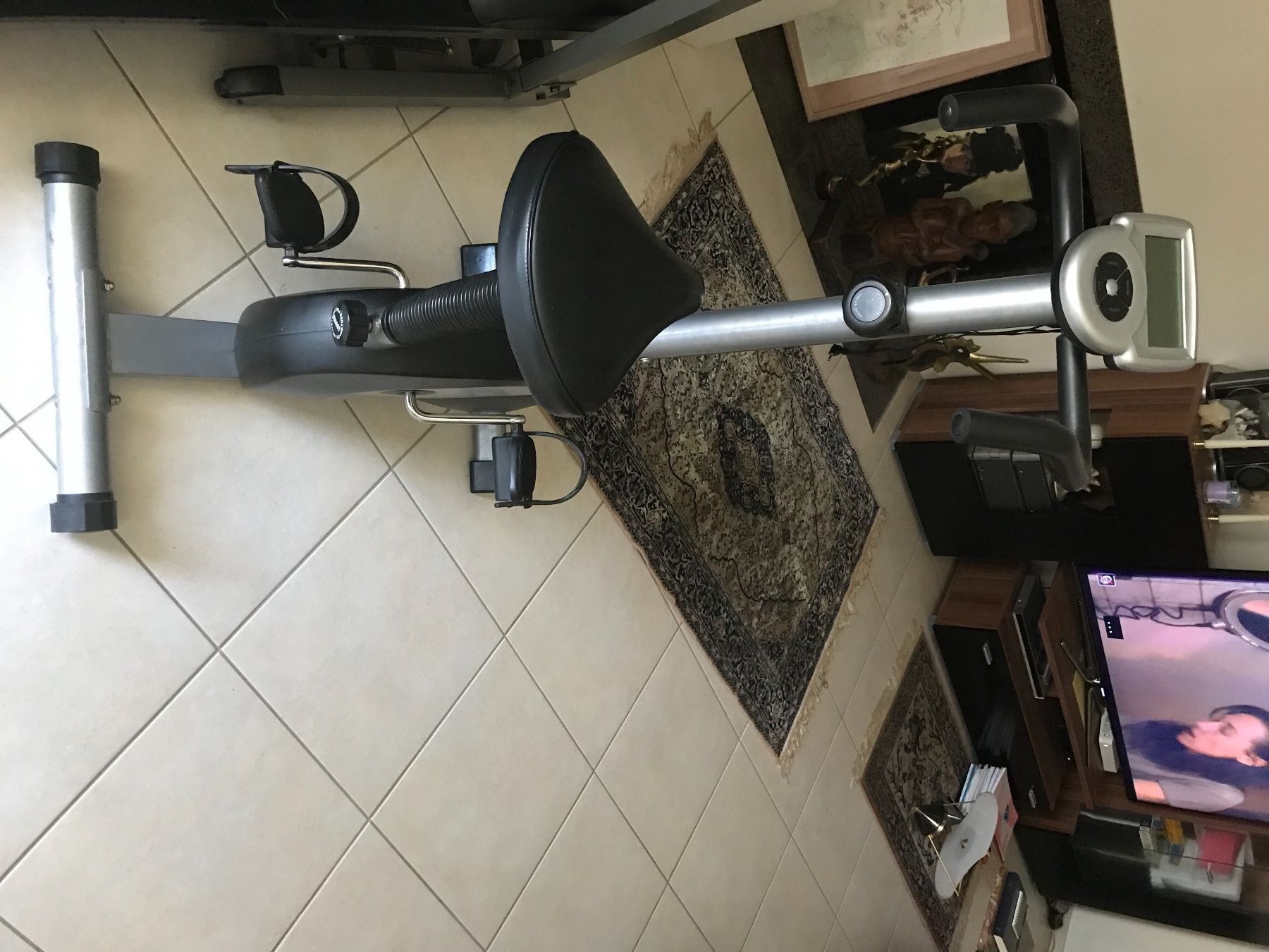 Biciclette: Vélo d’appartement – Usato da Bern venduto da Balharbour 6