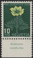 10 Rp. Schwefel-Anemone mit TAB (Anemone sulphurea)