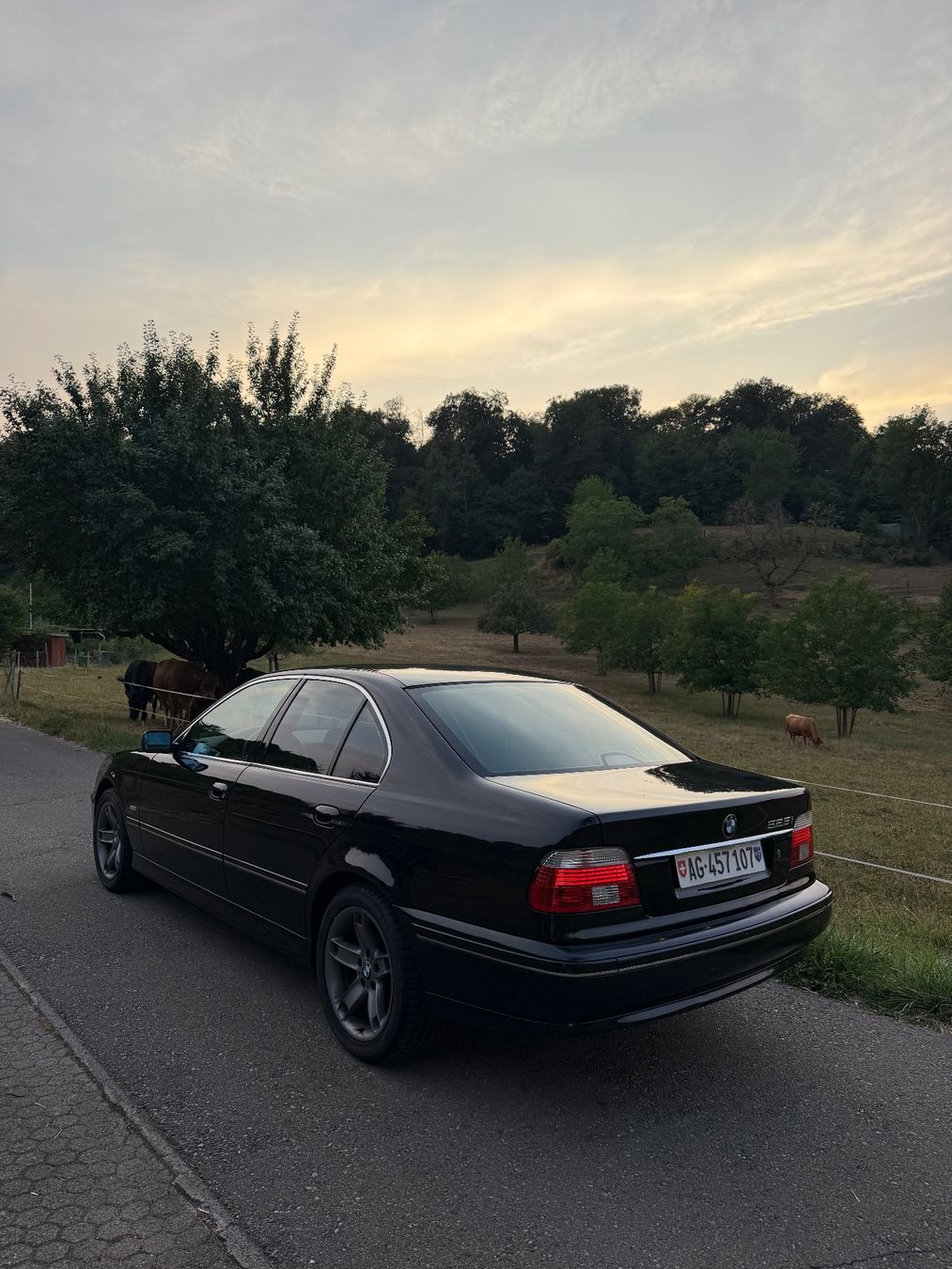 BMW Autos: Bmw 525i e39 – D'occasion à Rheinfelden par dil_6w8t 2