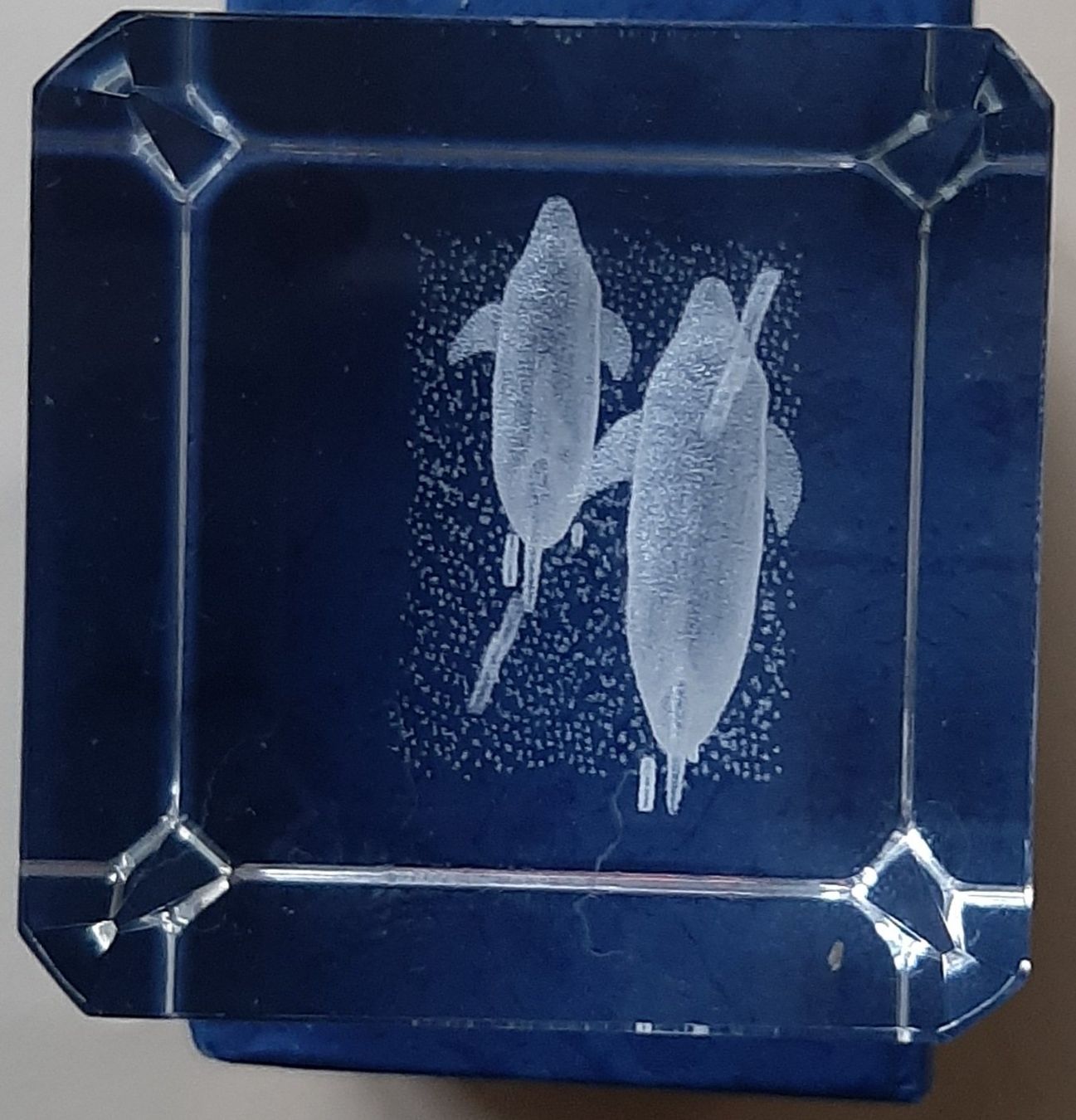 Skulpturen & Statuen: Dauphins en cristal de verre – Gebraucht aus Montet (Glâne) von Koada2 5