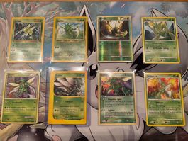 2000-2010 POKEMON Sichlor Vintage Sammlung