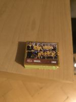 100 Panini Sticker WM 2026