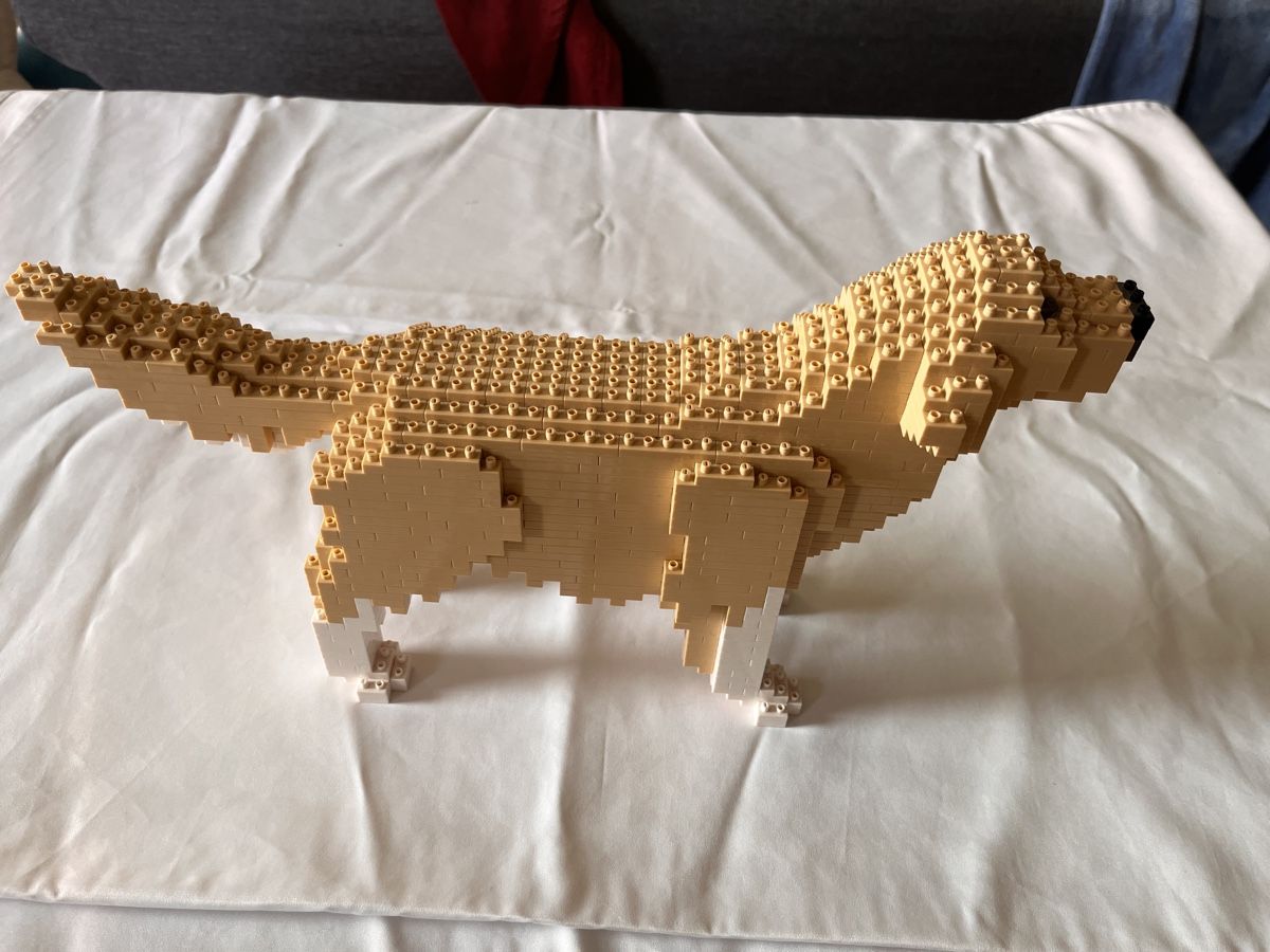 Kit di costruzioni: Golden Retriever Brickmo Bausatz – Usato da Richterswil venduto da tilodecooli 3