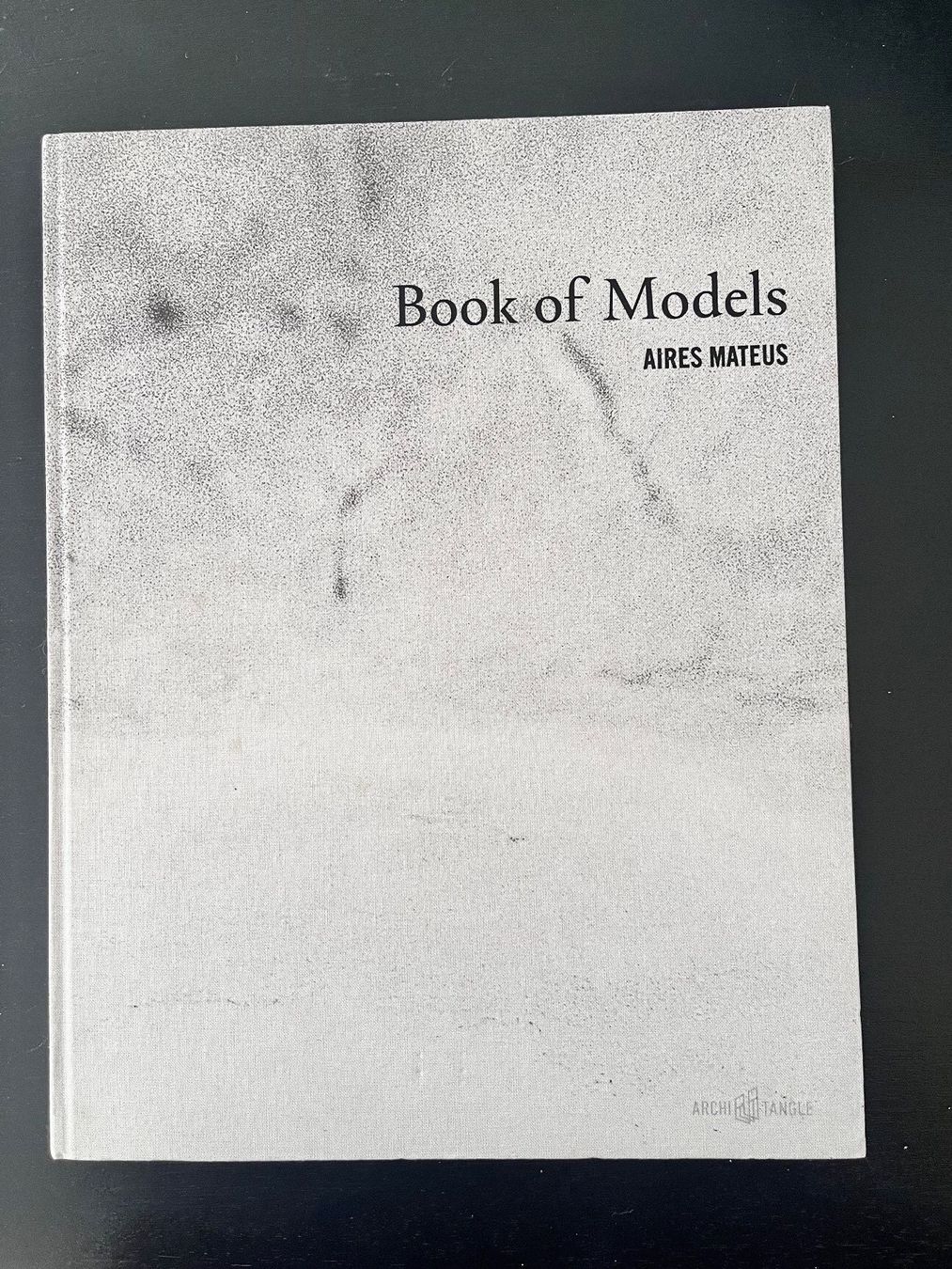 Libri: Aires Mateus: Book of Models – Nuovo (secondo la descrizione) da Basel venduto da daw_kd8z