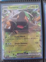 Torterra ex