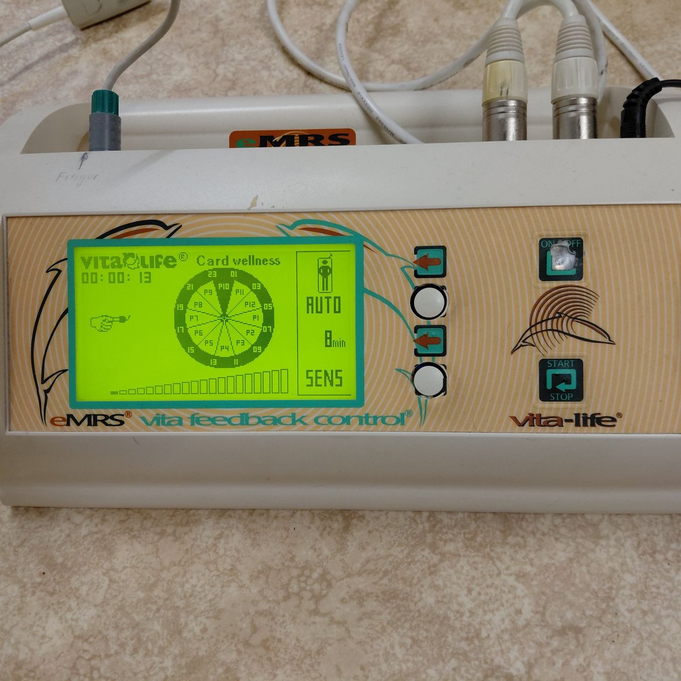 Attrezzature mediche: Vita Life Magnetfeldsystem Matte – Usato da Balgach venduto da Soniaz 2