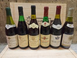 6 Flaschen Burgund/Beaujoulais Verschiedene Jahrgänge
