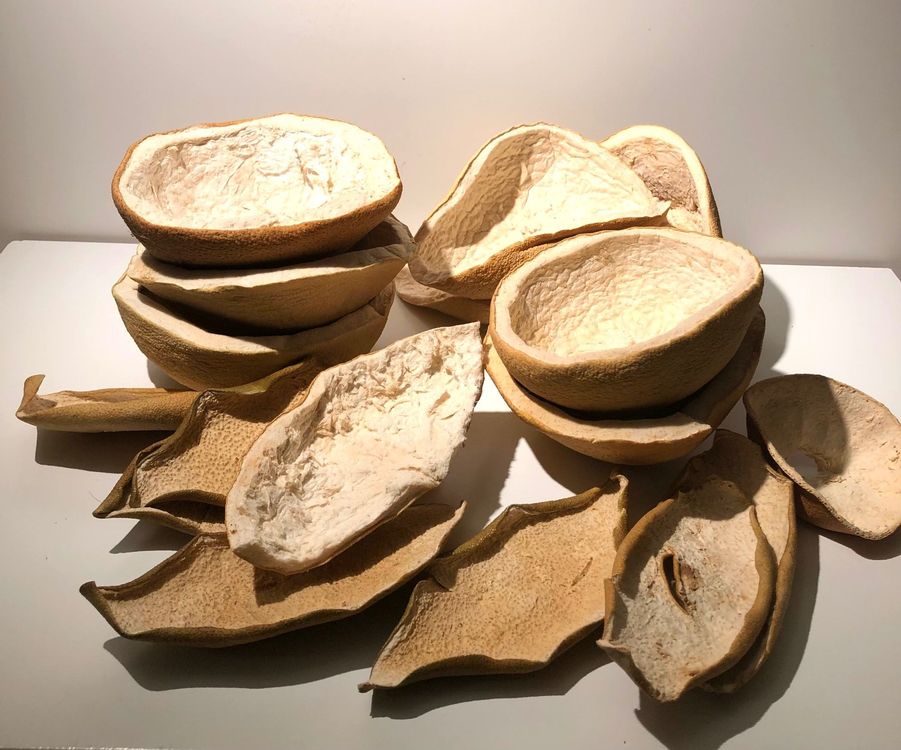 PomeloSchalen Kaufen auf Ricardo