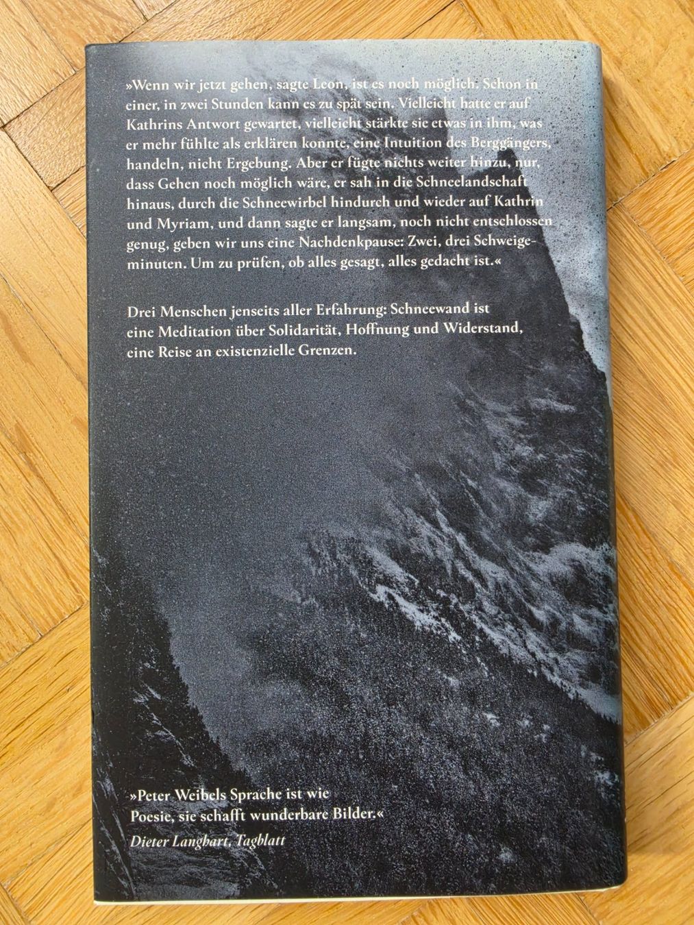 Bücher: Peter Weibel - Schneewand – Gebraucht aus Stäfa von flamingo_17 1