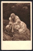 Alphonse Mucha: Solvanská epopeje, V pr