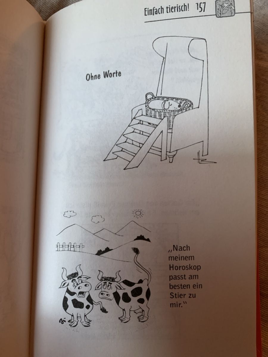 Libri: Loewe 1000 tolle Bilderwitze, 1. Auflage, 1991 – Usato da Meilen venduto da Flockenwirbel 6