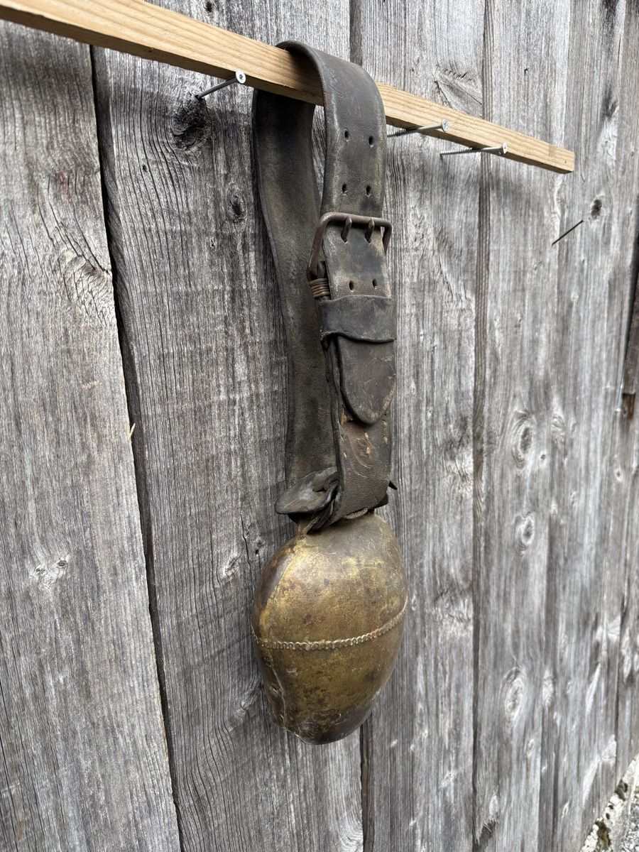 Glocken & Treicheln: Schöne alte Haueis Glocke – Gebraucht aus Sargans von fox7320 1