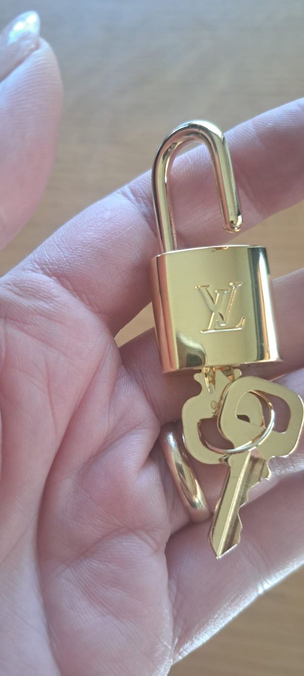 Louis Vuitton Borse da donna: Sac Louis Vuitton Speedy 30 – Usato da Troistorrents venduto da nico044 7