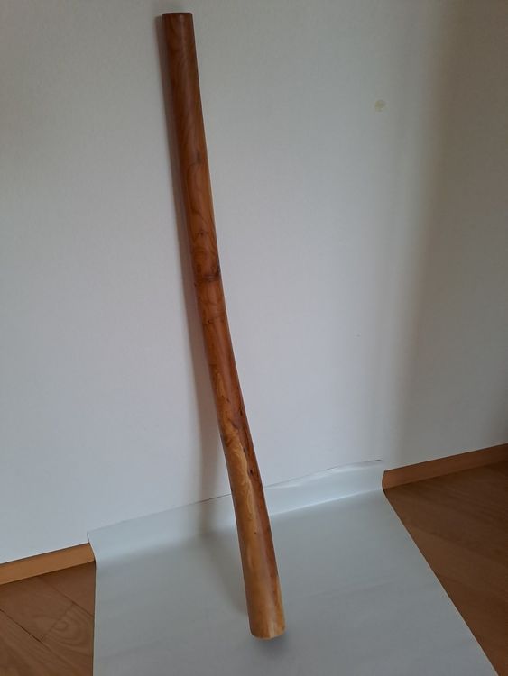 Didgeridoo Kaufen auf Ricardo