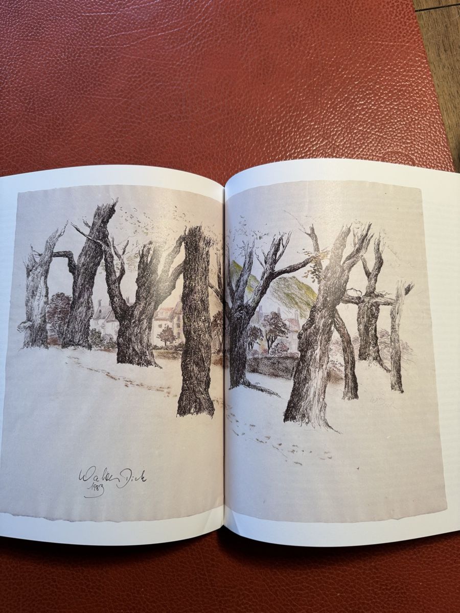 Libri: Bildband von Walter Dick & Werner Wiedenmeier Lithos – Usato da siebnen venduto da minte 8