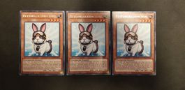 Yugioh Rettungskaninchen KICO