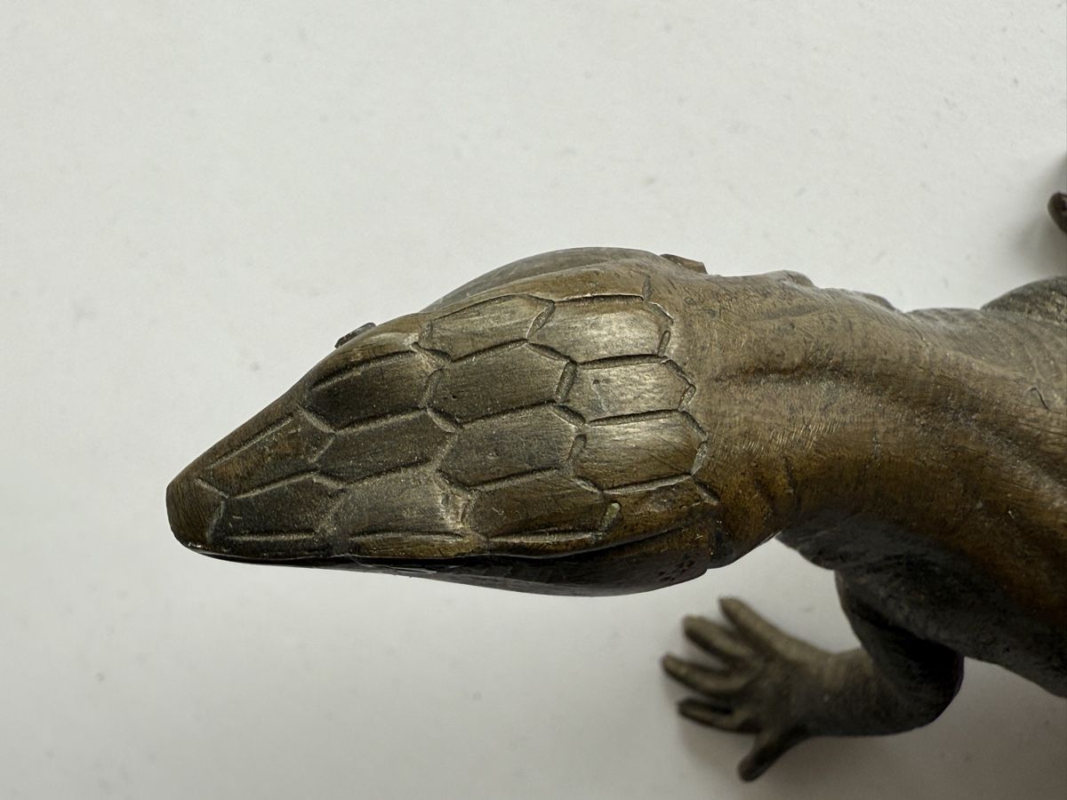 Statuette: Bronze Eidechse 20cm Wiener Bronze – Usato da Zürich venduto da Geniuss 3