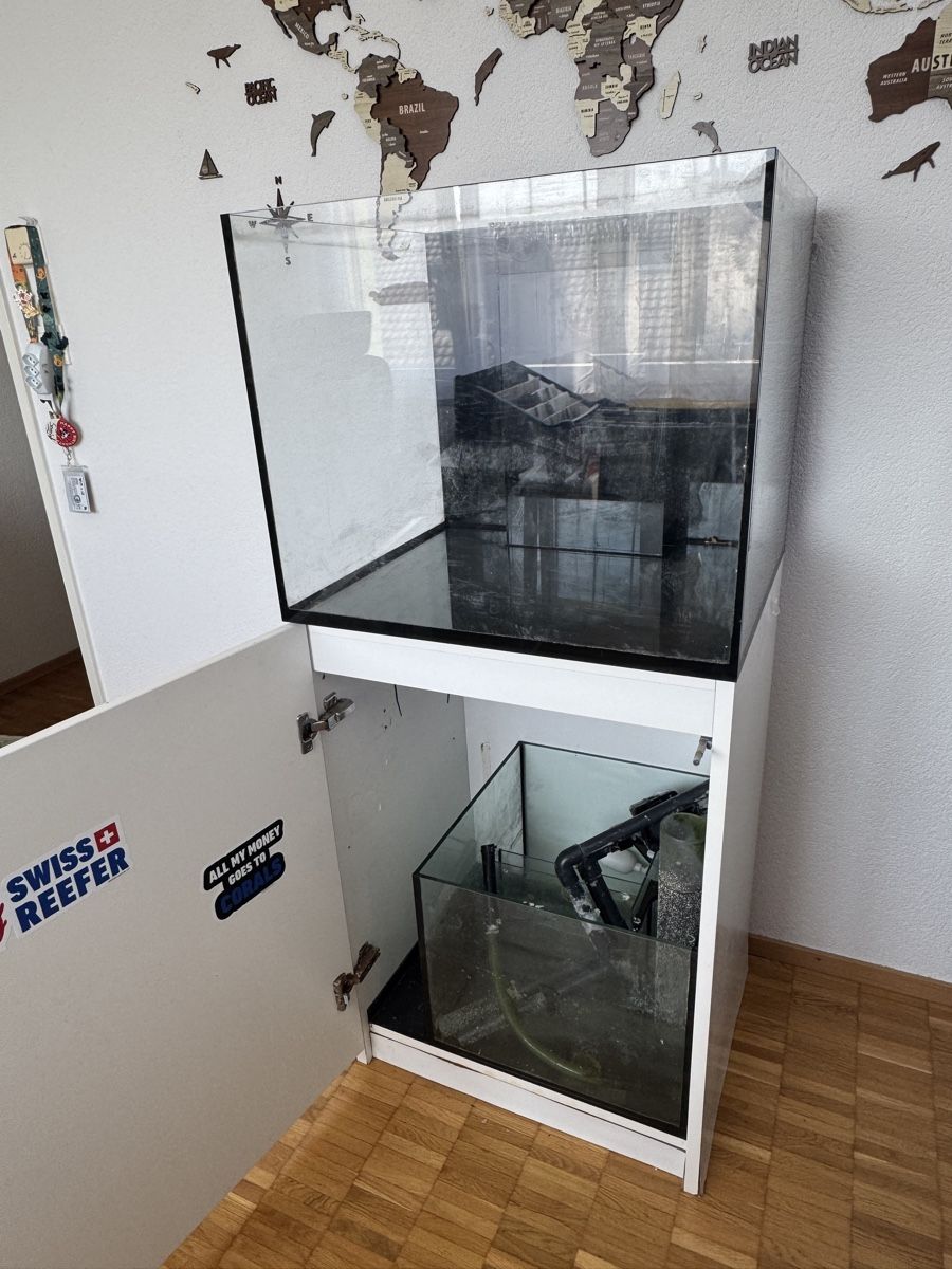 Aquarium: RedSea Reefer 170l  – Gebraucht aus Thalwil von sev_2y29