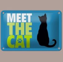 🔥 MEET THE CAT Katzen Blechschild 💙 12x18cm OVP 🔥