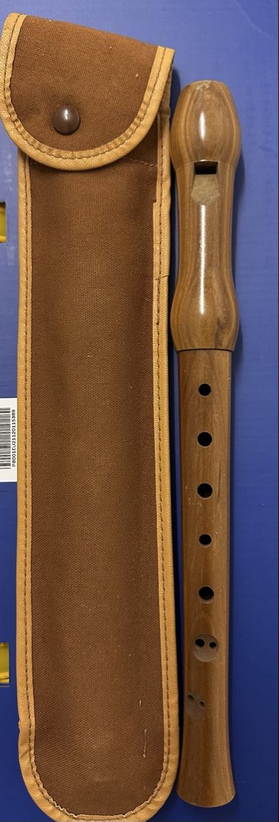 Strumenti musicali: H.C. Fehr Holzblockflöte, inkl. Etui – Usato da Schupfart venduto da Leexii90